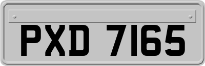 PXD7165