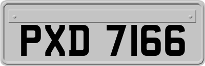 PXD7166