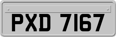 PXD7167