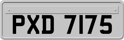 PXD7175