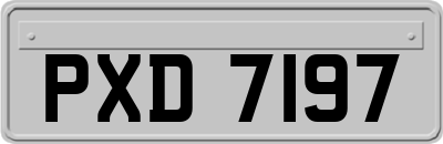 PXD7197