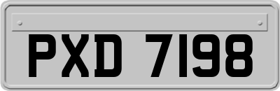 PXD7198