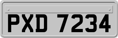 PXD7234