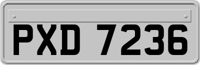 PXD7236