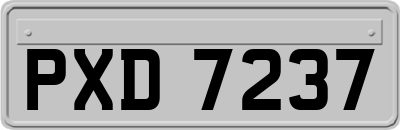 PXD7237