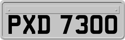 PXD7300