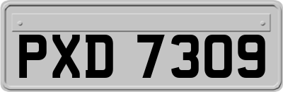 PXD7309