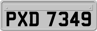 PXD7349