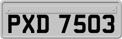 PXD7503