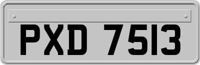 PXD7513