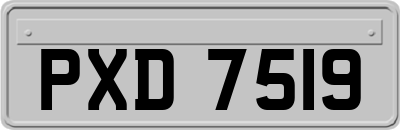 PXD7519