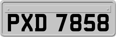 PXD7858