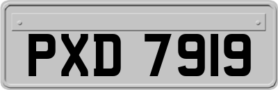 PXD7919