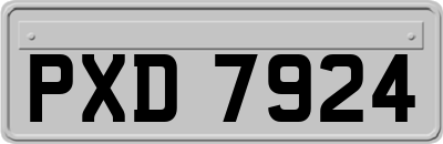 PXD7924