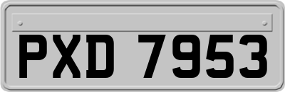 PXD7953