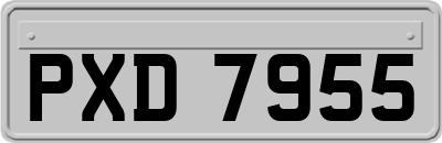 PXD7955