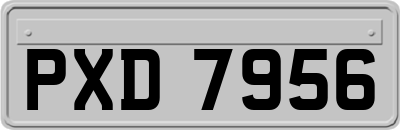 PXD7956