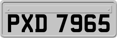 PXD7965