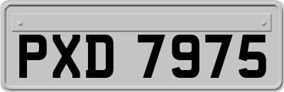 PXD7975