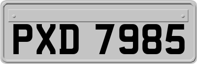 PXD7985