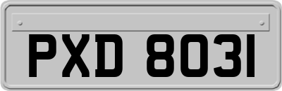 PXD8031