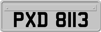 PXD8113