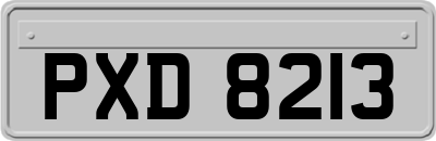 PXD8213