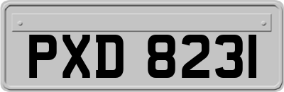 PXD8231