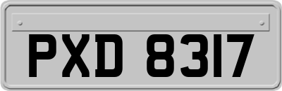 PXD8317