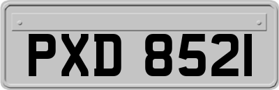 PXD8521