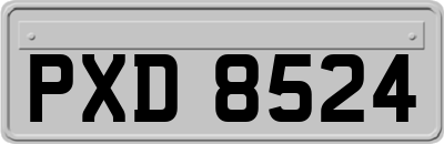 PXD8524