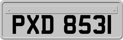 PXD8531