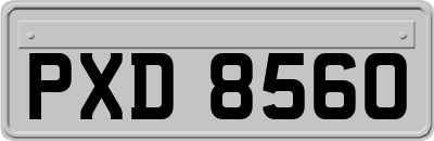 PXD8560