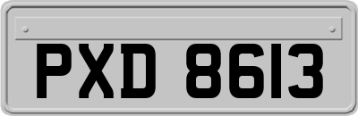 PXD8613