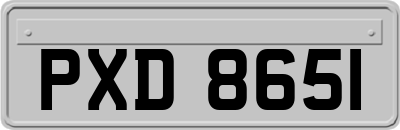 PXD8651