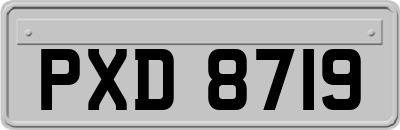 PXD8719