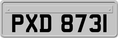 PXD8731