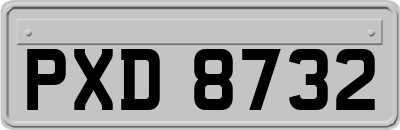 PXD8732