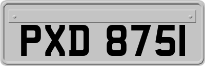 PXD8751