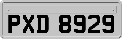 PXD8929