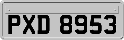 PXD8953