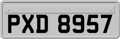 PXD8957