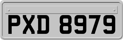 PXD8979