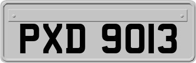 PXD9013