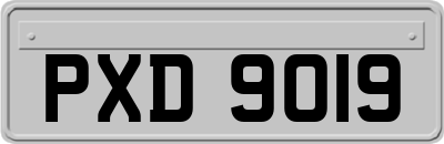 PXD9019