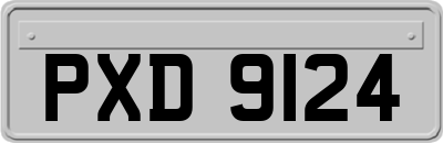 PXD9124