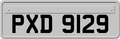 PXD9129