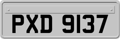 PXD9137