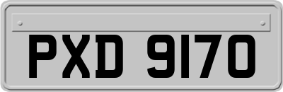 PXD9170