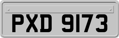 PXD9173